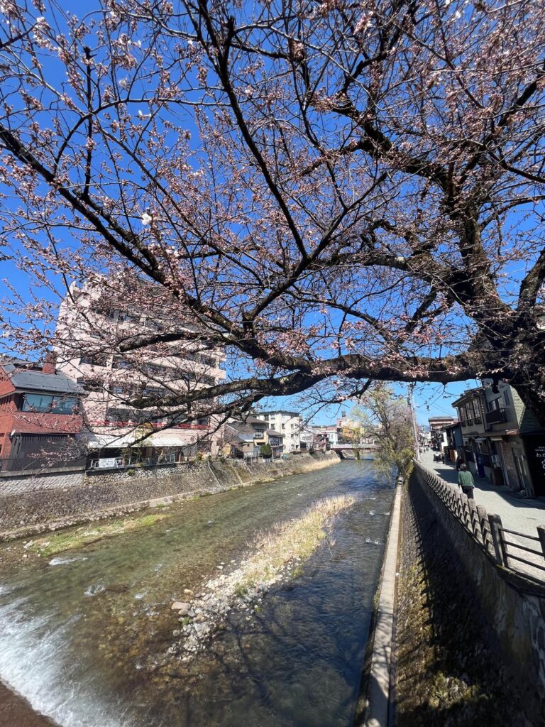 高山好去處 一人飛驒古都清晨散步提案，漫遊宮川朝市、三町古街